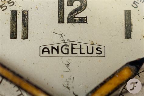 angelus 210